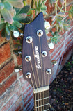 Discovery Companion CE Mahogany Natural