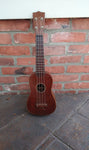 1924 Ditson Style O Mahogany Ukulele