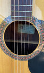 70s Epiphone FT150