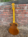 Epiphone Wildkat