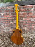 Epiphone Wildkat