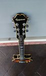 Epiphone Genesis