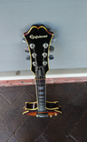 Epiphone Genesis