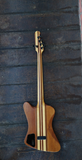 Epiphone Pro V