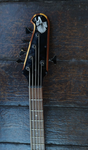 Epiphone Pro V
