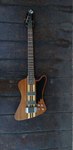 Epiphone Pro V