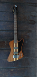 Epiphone Pro V