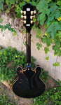Epiphone Sheraton II