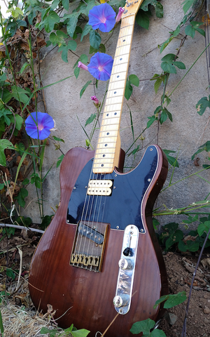 Fender Telecaster 70's