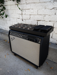 Fender Cybertwin