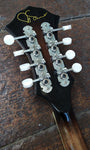Fender Robert Schmidt Electric Mandolin