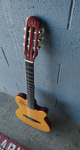 Godin Multiac ACS