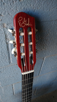 Godin Multiac ACS