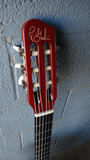 Godin Multiac ACS