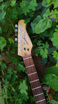 Godin Freeway Classic