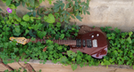 Godin Freeway Classic