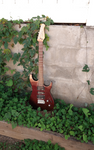 Godin Freeway Classic