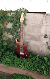 Godin Freeway Classic