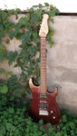 Godin Freeway Classic