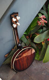 Mastertone™Banjolele-DLX: Concert-Scale Banjo Ukulele Deluxe