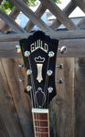 Guild Starfire IV 2017