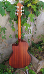 Hagstom Acoustic Solid Top
