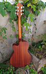 Hagstom Acoustic Solid Top