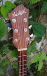 Hagstom Acoustic Solid Top