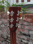 Eastman E10D