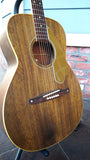 Fender Newporter 60s
