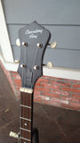 Recording King Dirty 30s Resonator Banjo (RKH-05)