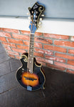 LM-600 E The Loar Professional Mandolin, F Style