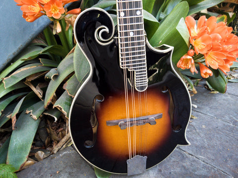 LM-600 E The Loar Professional Mandolin, F Style