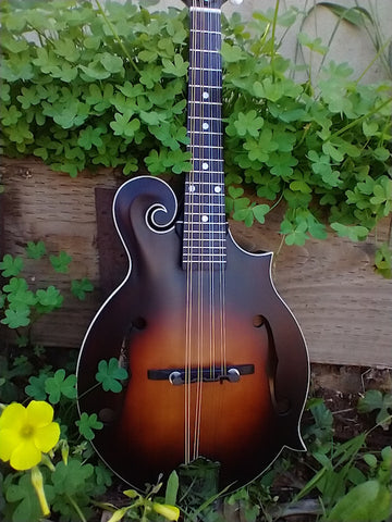 The Loar Honey Creek LM-310F F-Style Mandolin