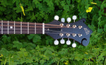 The Loar Honey Creek LM-310F F-Style Mandolin