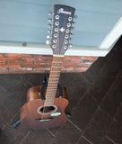 Ibanez 12 String Artwood Solid Top