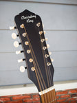 Recording King Dirty 30s RDS-9-12-FE5-TS