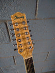 Ibanez EW2012 12 String
