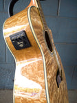 Ibanez EW2012 12 String