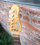 Godin Acousti-Caster