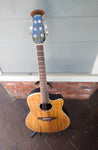 Ovation Celebrity CC24