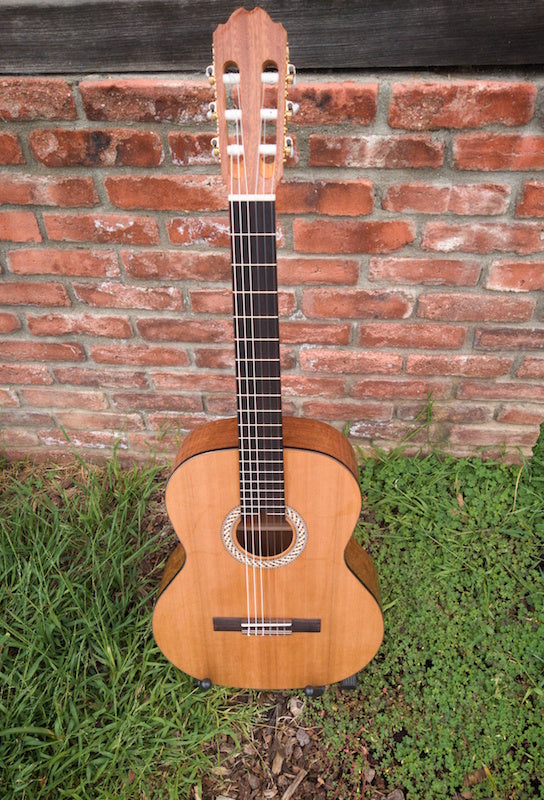 Kremona Soloist S65C – Moze Guitars