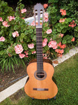 Kremona Classical Soloist F65c