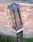 Yamaha NTX1 Acoustic-Electric Classical Guitar