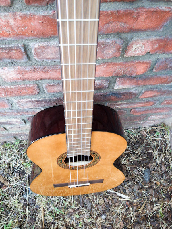Sunlite guitar shop