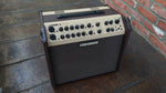 Fishman Artist Acoustic Amplifier