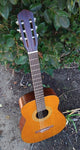 60’s Harmony Classical H174
