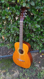 60’s Harmony Classical H174