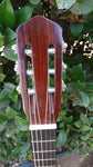60’s Harmony Classical H174