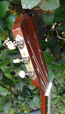 60’s Harmony Classical H174